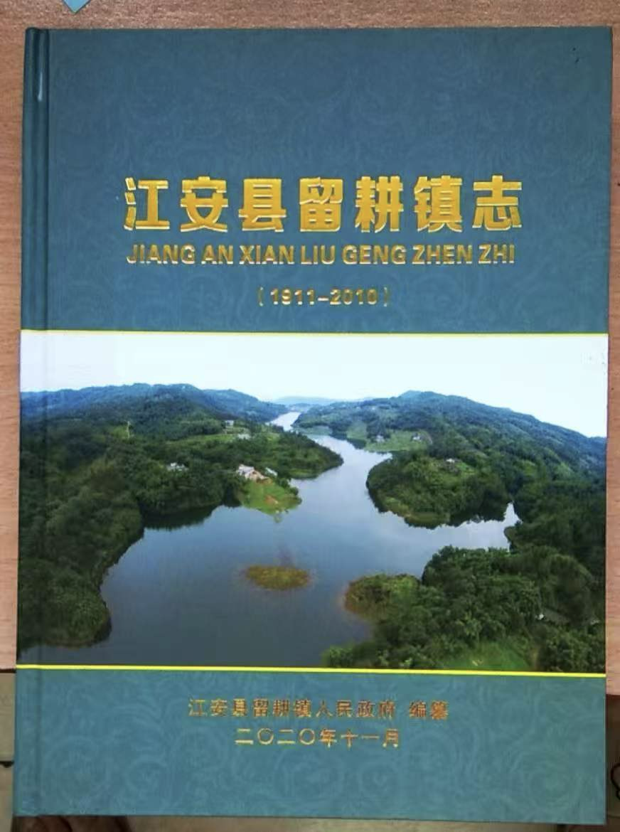 江安县江安镇志 (2010)
